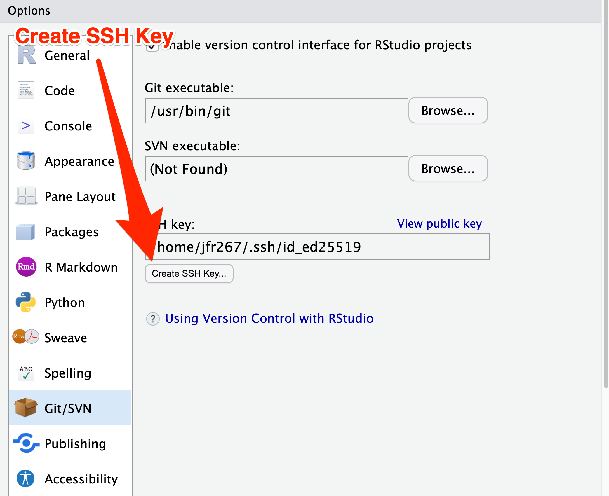 A screenshot of the RStudio Git/SVN options menu, with Create SSH Key selected